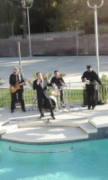 Harmik in Concert